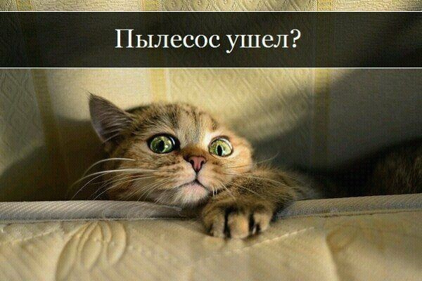 ���������� #2051054