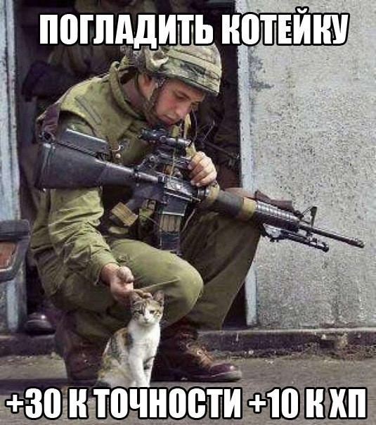���������� #2051836