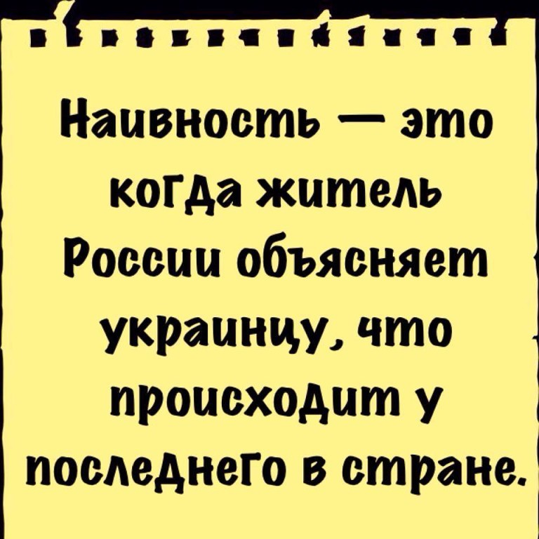 ���������� #2053405