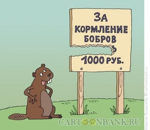 ���������� #2050495