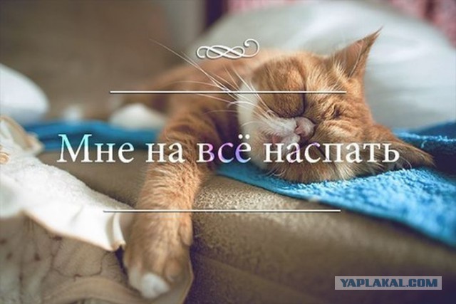 ���������� #2055070