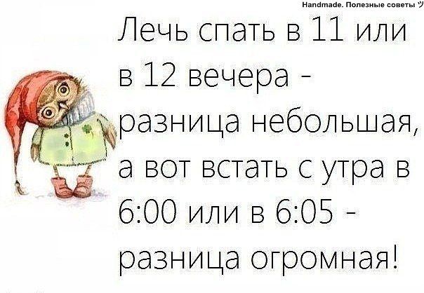 ���������� #2055241