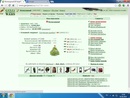 7� ���, 24 ����,2-� ������ ������