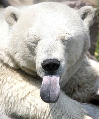 ;P