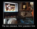 ���������� #2061366