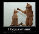 ���������� #2062853