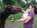 ���������� #2063283