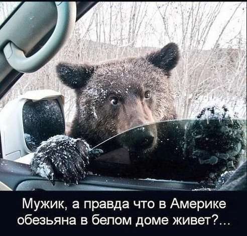�������� �����������...