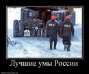 ���������� #2064290