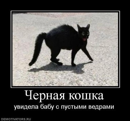���������� #2064298