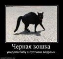 ���������� #2064298