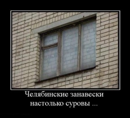 ���������� #2064303