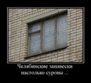 ���������� #2064303