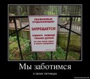 ���������� #2064307