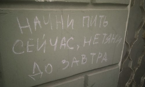 ���������� #2064318