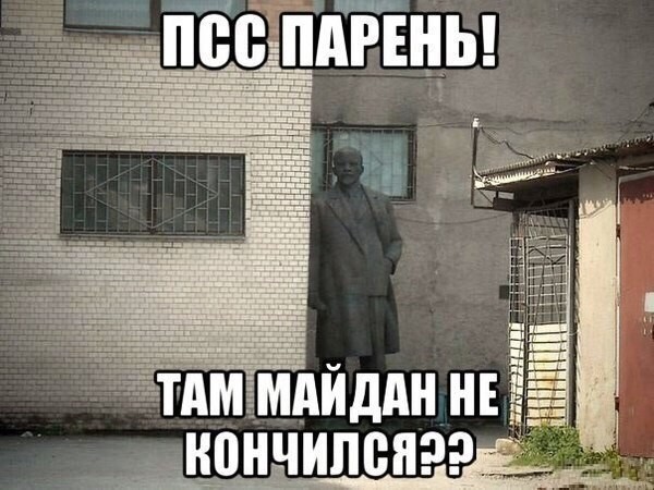 ���������� #2064322