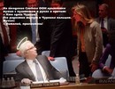 ���������� #2064330