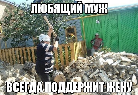 ���������� #2064331