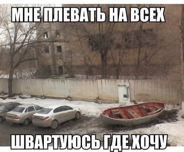 ���������� #2064333
