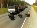 ����������))))
