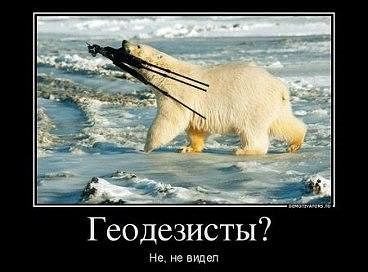 ���������� #2066901