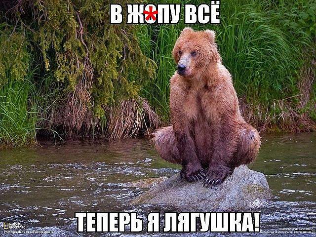 �������� �����������...