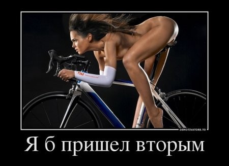 ���������� #2068835