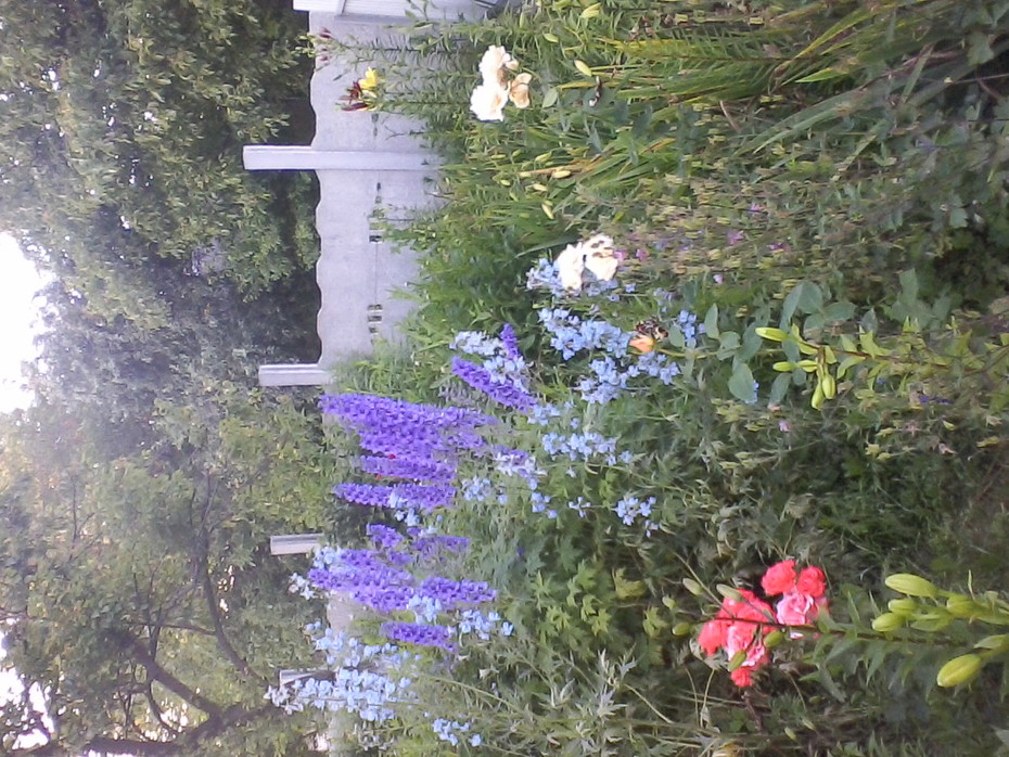���������� #2070324