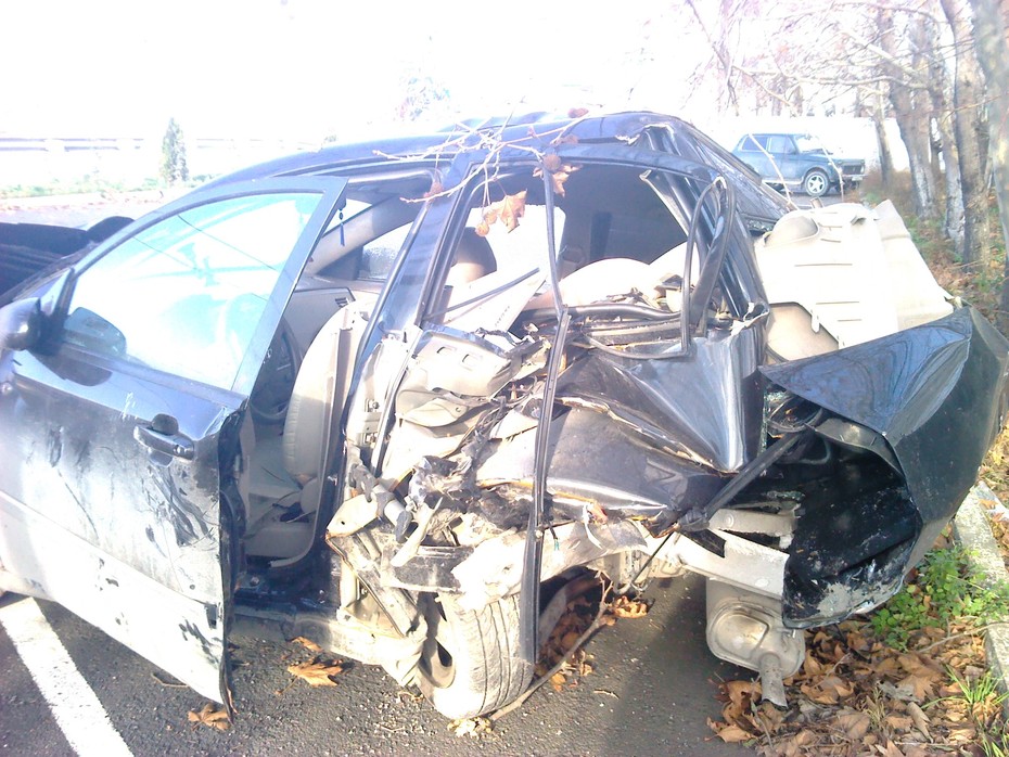 2012 ���. ���� � �������������. 40 ��/���