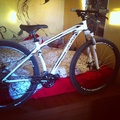 Specialized Hardrock niner 29