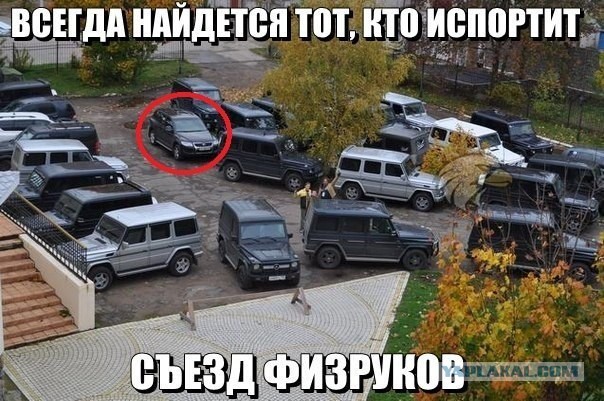 ���������� #2077438