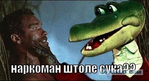 ���������� #2077443