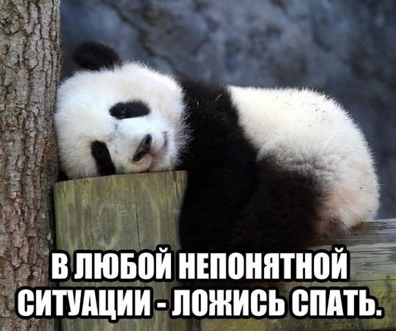���������� #2078350