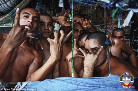 Ms13