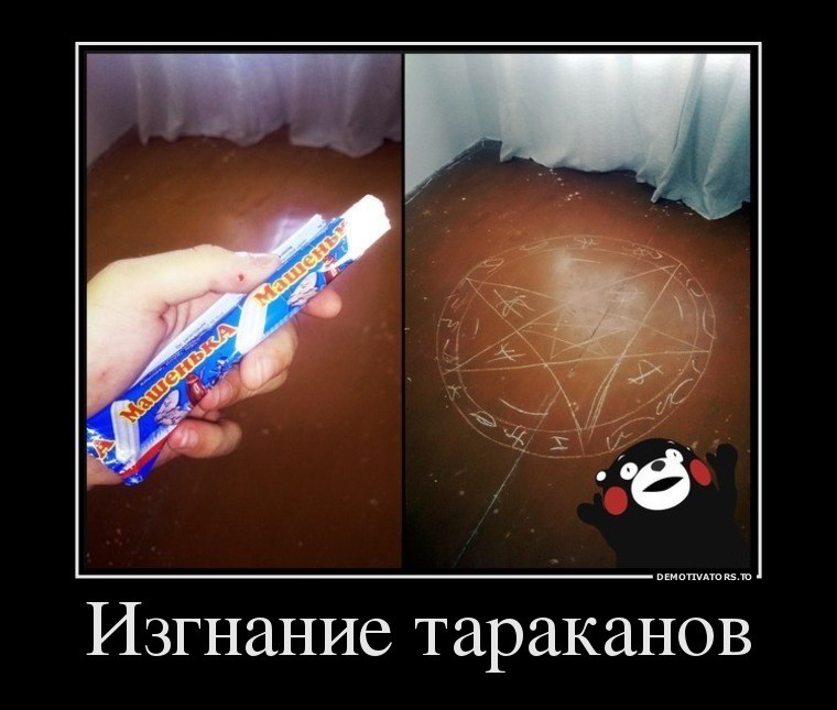 ���������� #2081944