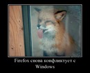 ���������� #2081947