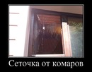 ���������� #2081957
