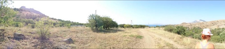 ���������� #2083277