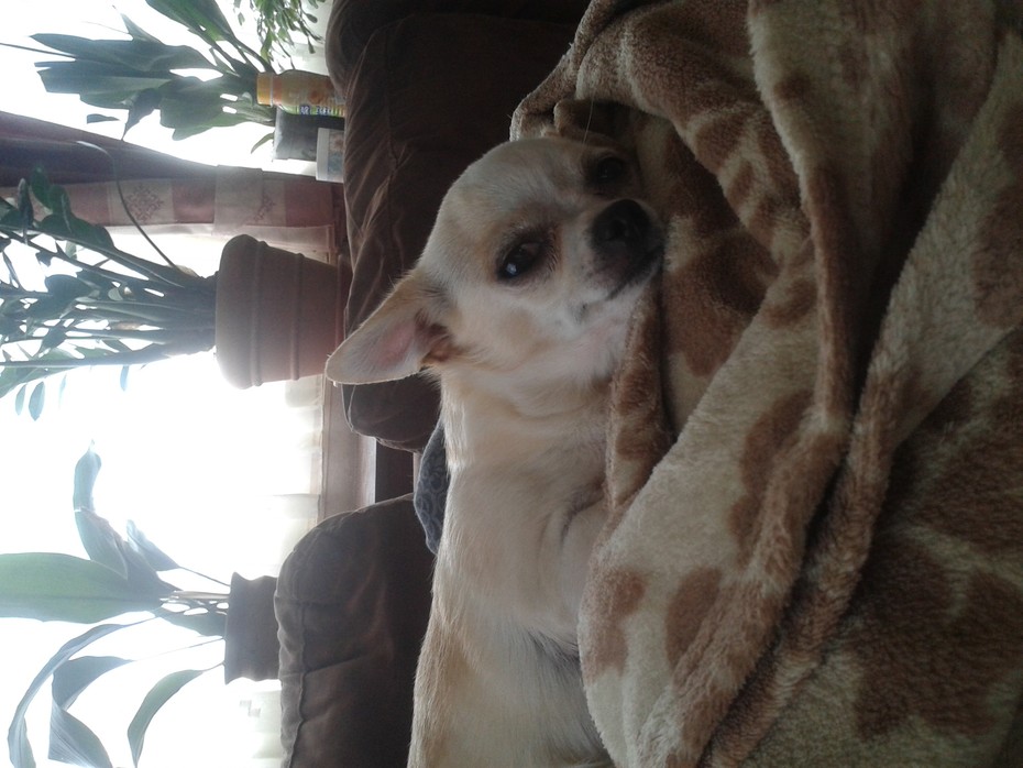 Chloe