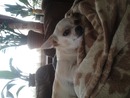 Chloe