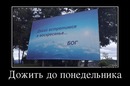 ���������� #2087300