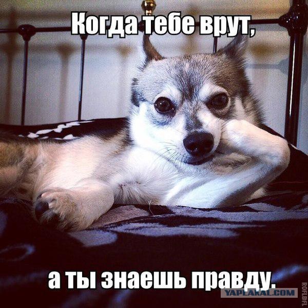 ���������� #2087522