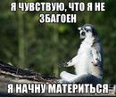 � �� �������