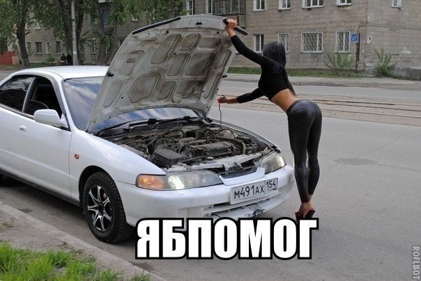 ���������� #2094977