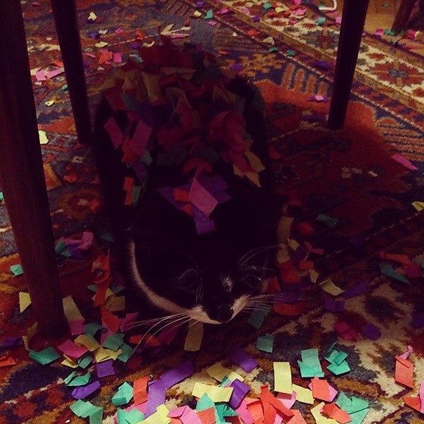 ���������� #2095233