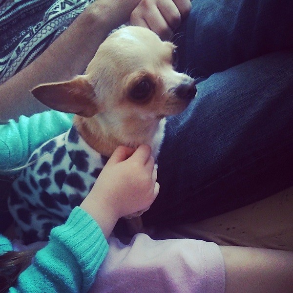 ���������� #2095235