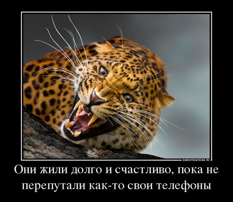 ���������� #2095787